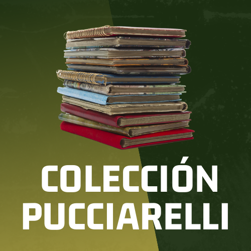 Acceso a colección Pucciarelli