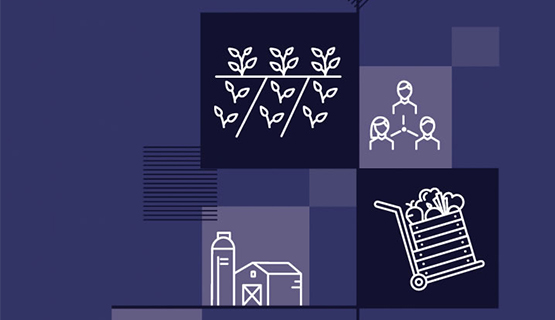 La economía de los ecosistemas y la biodiversidad
