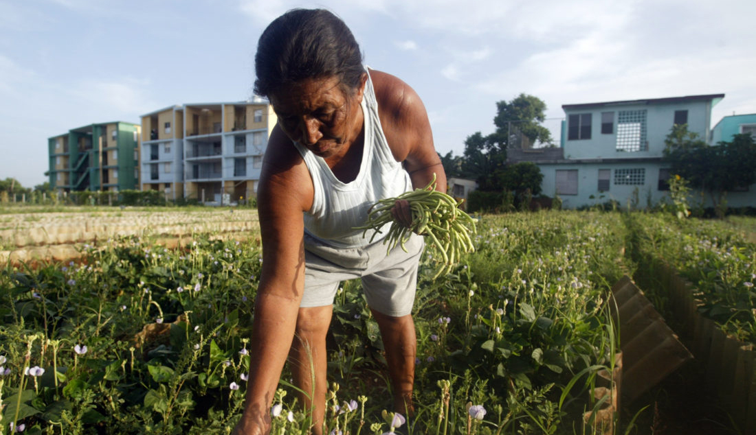 Muestra Otro campo es posible