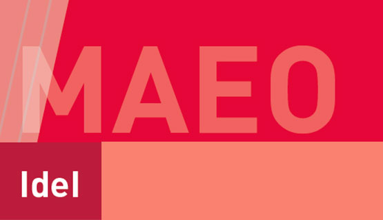 Inscripción para la Maestría en Estudios Organizacionales (MAEO)