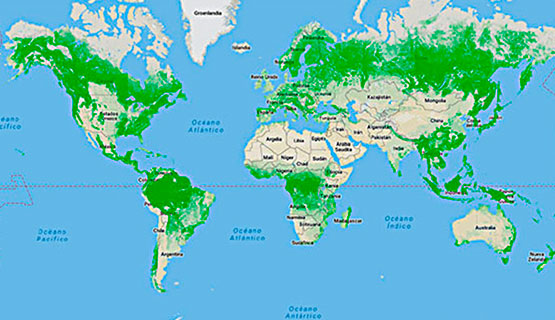 Bosques fragmentados | Leonardo Saravia y Santiago Doyle en Argentina investiga