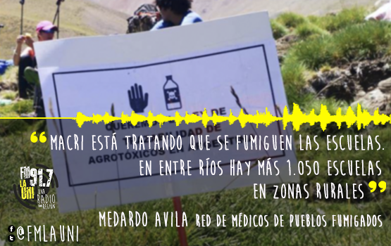 La población está expuesta a 80 litros de glifosato por persona
