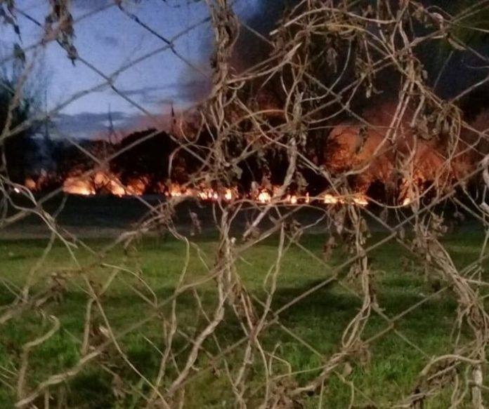 Denuncian incendio intencional en el Aeropuerto de El Palomar