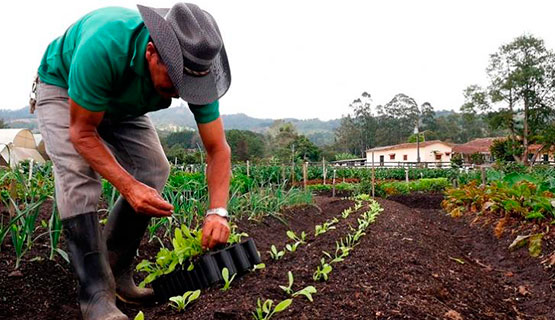 Seminario Internacional “Agroecología ¿Para qué? ¿Para quiénes? ¿Para cuántos?”