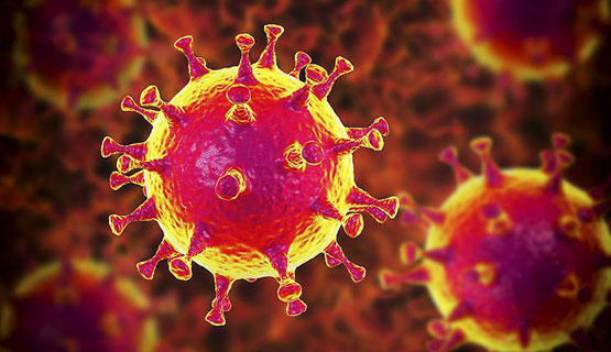 Consideraciones sobre el coronavirus