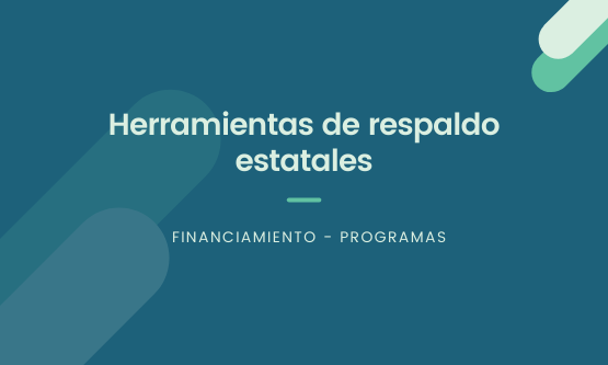 Instrumentos de Promoción y Financiamiento