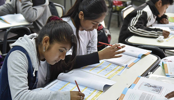 Pandemia, presencialidad y mundo digital: ¿la escuela en disputa? | Flavia Terigi en Télam