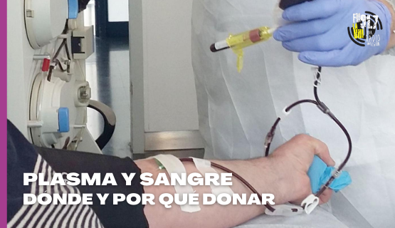 Donación de sangre y plasma: dónde se puede donar