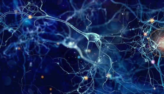 Popularización de la ciencia: Charla sobre la física de los microsistemas fuera del equilibrio