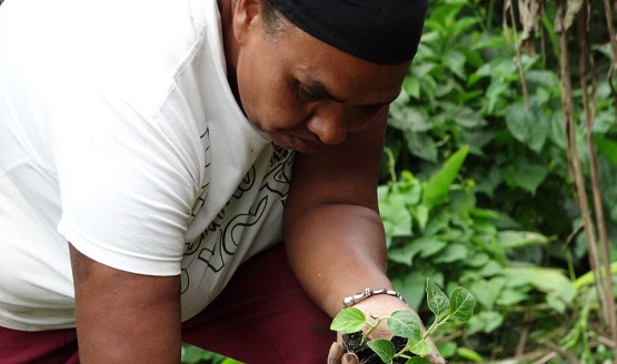 Feminismo y agroecología a contrapelo del agronegocio | La Diplomatura en Géneros en Página/12