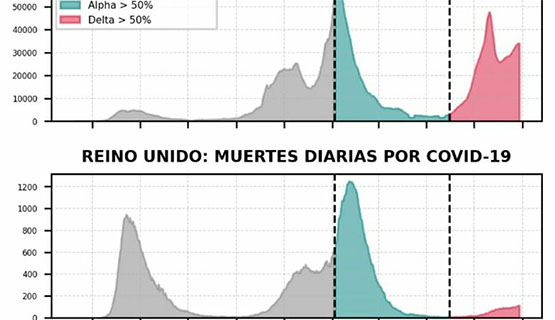 Variante Delta, qué pasará en Argentina | Nicolás Olszevicki en Página/12