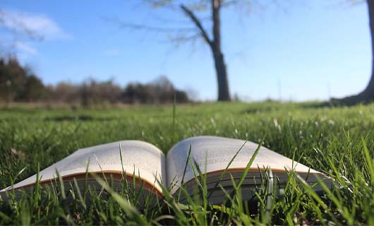 Biblioteca: Préstamo de verano 2021