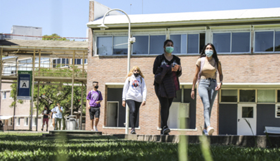 Elecciones de representantes estudiantiles para los Comités de Carrera