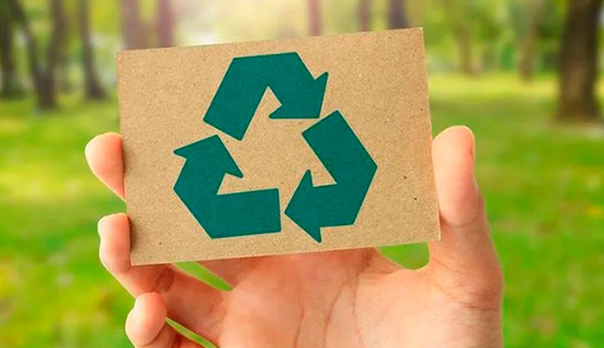 Día del reciclaje: