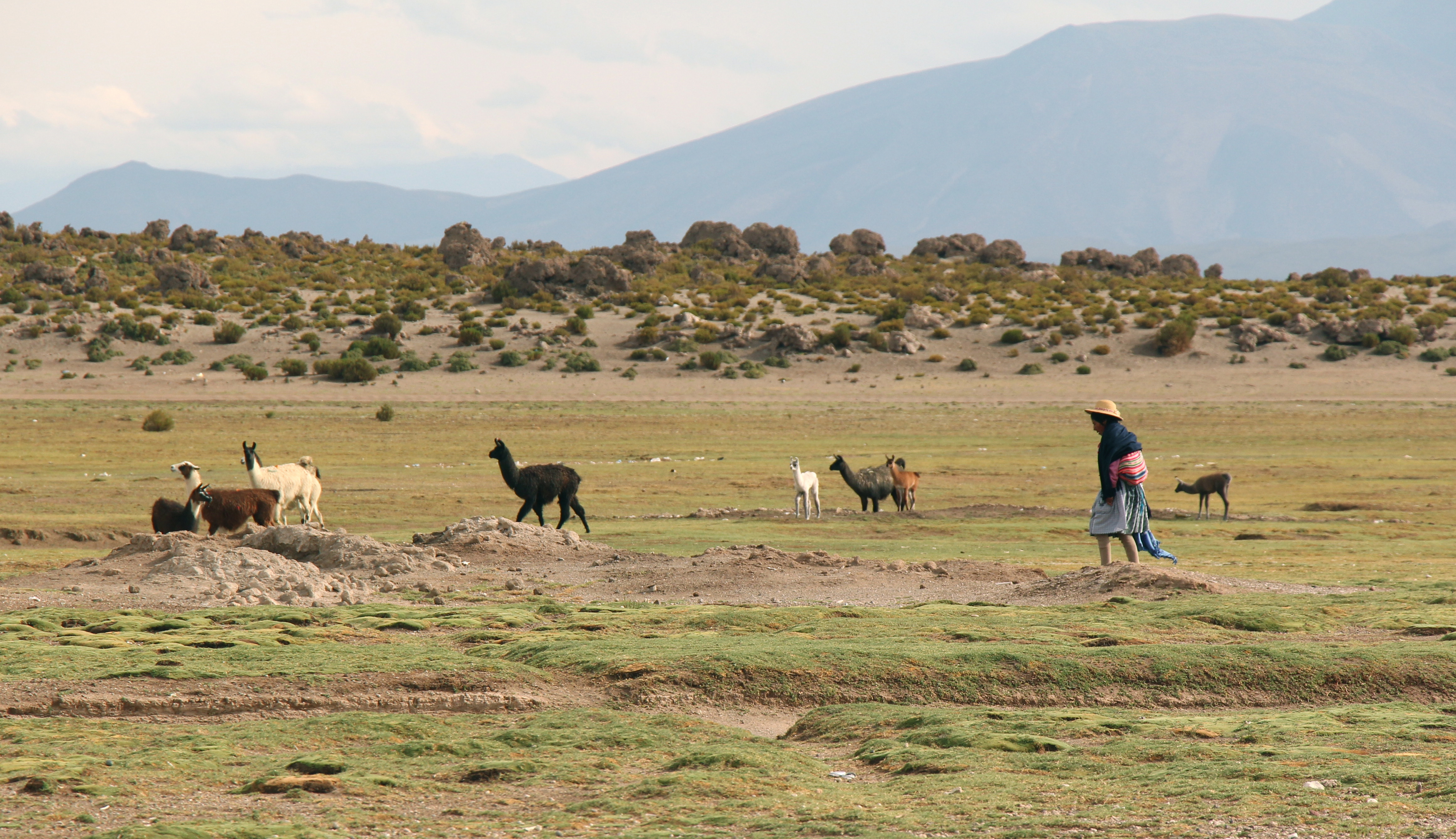 Muestra “Viaje: estar siendo y el otro campo”