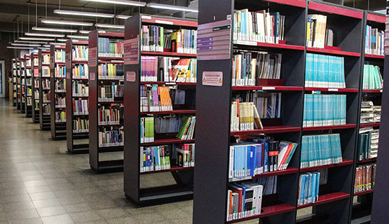 Invierno en la Biblioteca: horarios y modalidad de los préstamos