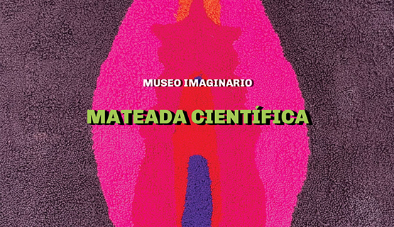 Mateada científica “Allá abajo. ¿Qué hay bajo la falda?”