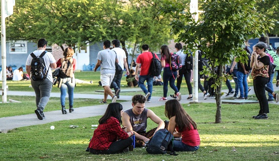 Talleres transversales de las carreras del Instituto del Conurbano