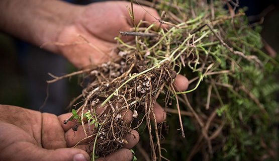 La agroecología es una ciencia | Walter Pengue en Agencia Tierra Viva