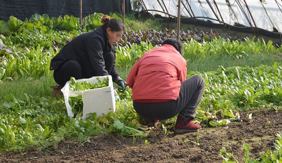 Encuentro sobre gobernanza alimentaria en el Área Metropolitana de Buenos Aires