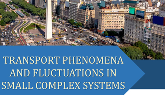 Workshop sobre Fenómenos de Transporte y Fluctuaciones en Sistemas Complejos de Pequeña Escala