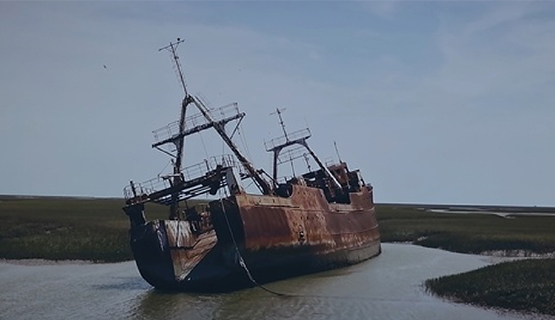 Proyección del documental