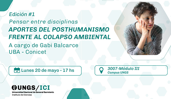 Pensar entre disciplinas: Aportes del posthumanismo ante el colapso ambiental