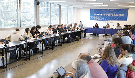 Reunión ordinaria del Consejo Superior de la UNGS