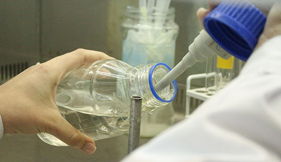 Bacterias vs. plaguicidas