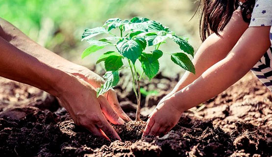 Conversatorio sobre Educación Ambiental Integral