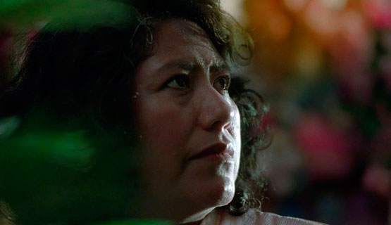 Proyección de la película Todas las fuerzas y conversación con la directora