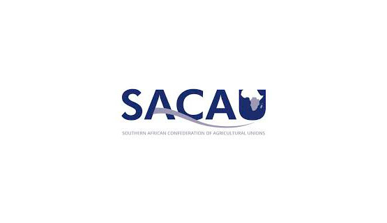 Panel sobre el Sistema Argentino de Créditos Académicos Universitarios (SACAU)