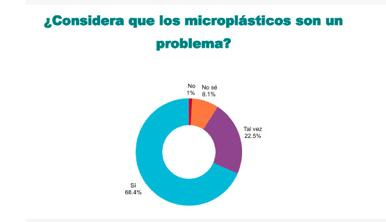 Qué sabemos y qué no sabemos sobre los microplásticos