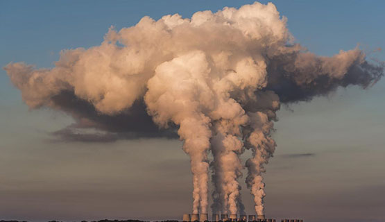 COP30: una ronda financiera que no cuida el planeta | Walter Pengue en Agencia Tierra Viva