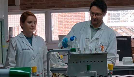 Un análisis para detectar la presencia de microplásticos en alimentos