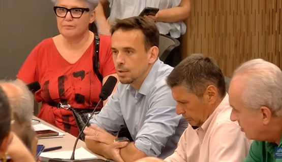 Pinazo en Diputados: 