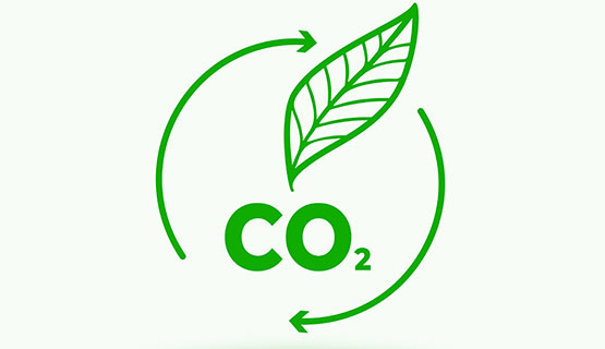 Una calculadora para medir la huella de carbono de las actividades socio productivas