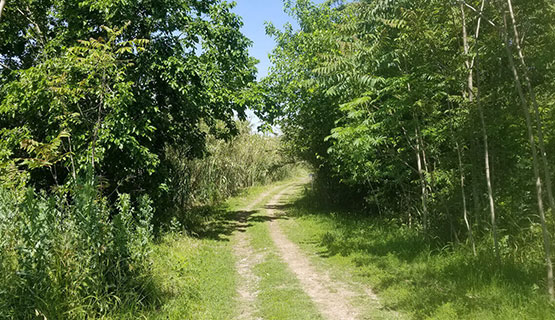Un monitoreo ambiental de reservas naturales urbanas