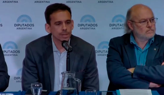 Pinazo en Diputados: 
